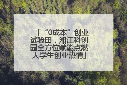 “0成本”创业试验田，湘江科创园全方位赋能点燃大学生创业热情