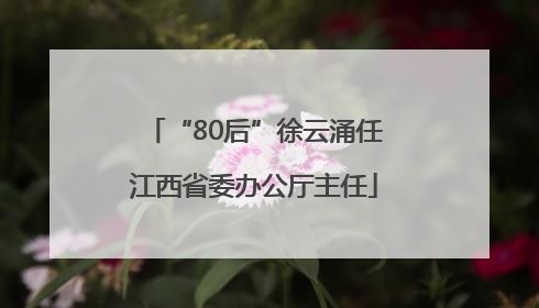 “80后”徐云涌任江西省委办公厅主任