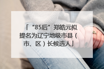 “85后”郑皓元拟提名为辽宁地级市县（市、区）长候选人