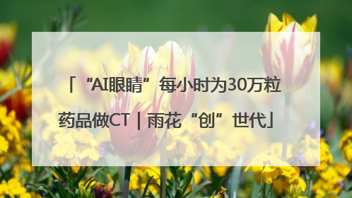 “AI眼睛”每小时为30万粒药品做CT｜雨花“创”世代