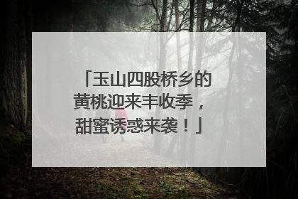 玉山四股桥乡的黄桃迎来丰收季，甜蜜诱惑来袭！