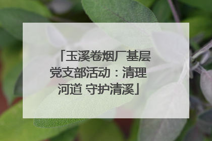 玉溪卷烟厂基层党支部活动：清理河道 守护清溪