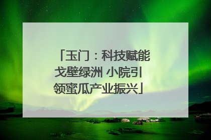 玉门：科技赋能戈壁绿洲 小院引领蜜瓜产业振兴