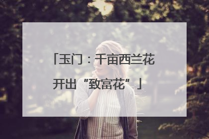 玉门：千亩西兰花开出“致富花”