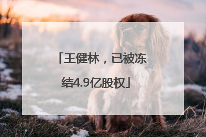 王健林，已被冻结4.9亿股权