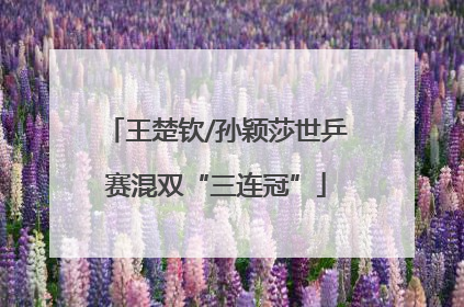 王楚钦/孙颖莎世乒赛混双“三连冠”