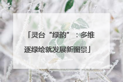 灵台“绿韵”：多维逐绿绘就发展新图景