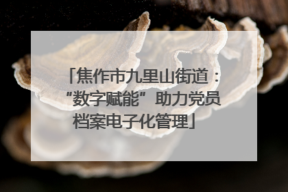 焦作市九里山街道：“数字赋能”助力党员档案电子化管理