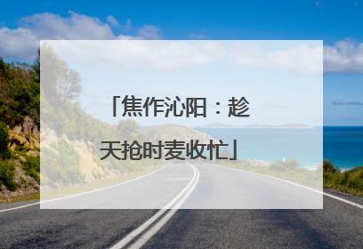 焦作沁阳：趁天抢时麦收忙