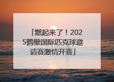 燃起来了！2025鹤壁国际匹克球邀请赛激情开赛