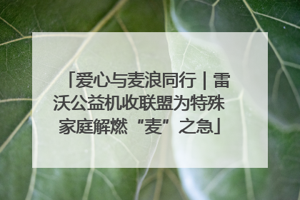 爱心与麦浪同行｜雷沃公益机收联盟为特殊家庭解燃“麦”之急