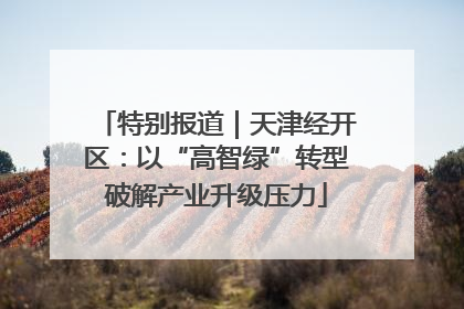 特别报道｜天津经开区：以“高智绿”转型破解产业升级压力