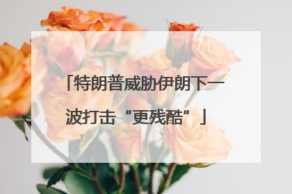特朗普威胁伊朗下一波打击“更残酷”