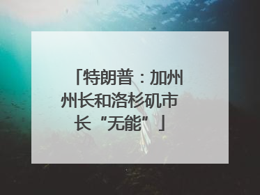 特朗普：加州州长和洛杉矶市长“无能”