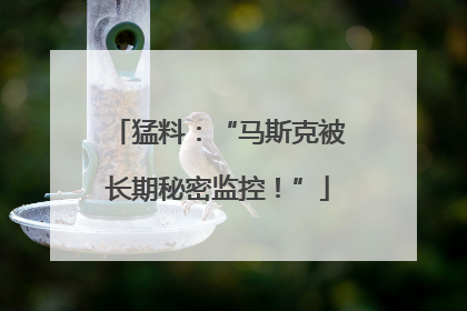 猛料：“马斯克被长期秘密监控！”