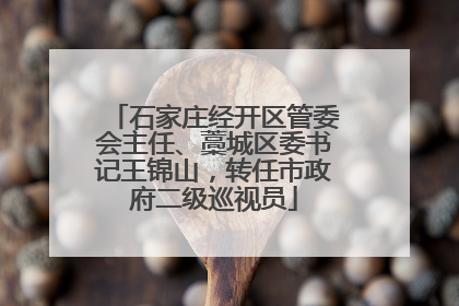 石家庄经开区管委会主任、藁城区委书记王锦山，转任市政府二级巡视员