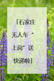 石家庄无人车“上岗”送快递啦