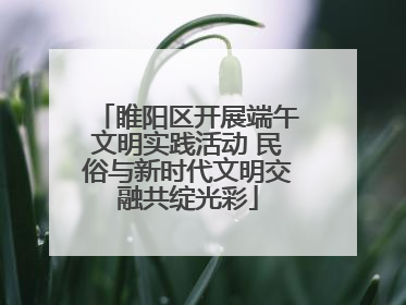 睢阳区开展端午文明实践活动 民俗与新时代文明交融共绽光彩