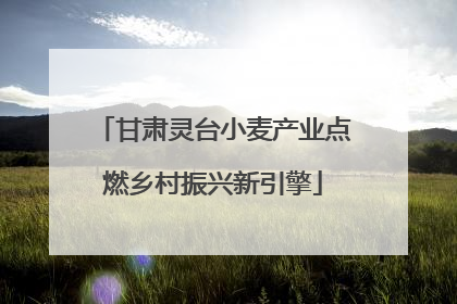 甘肃灵台小麦产业点燃乡村振兴新引擎