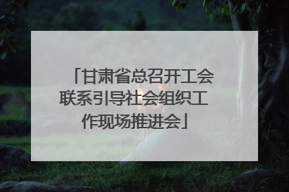 甘肃省总召开工会联系引导社会组织工作现场推进会