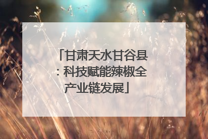 甘肃天水甘谷县：科技赋能辣椒全产业链发展