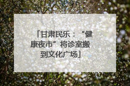 甘肃民乐：“健康夜市”将诊室搬到文化广场