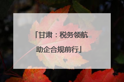 甘肃：税务领航 助企合规前行