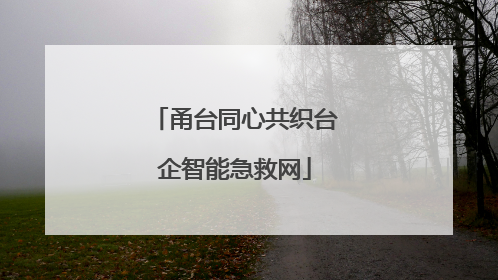 甬台同心共织台企智能急救网