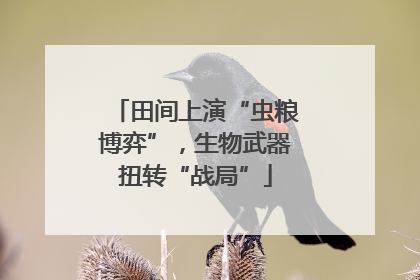 田间上演“虫粮博弈”，生物武器扭转“战局”