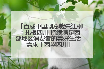 百威中国副总裁朱江柳：扎根四川 持续满足西部地区消费者的美好生活需求丨西望四川