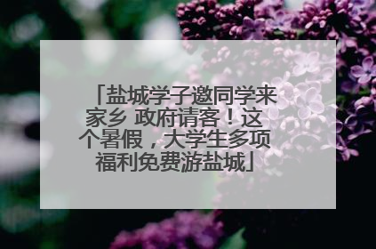 盐城学子邀同学来家乡 政府请客！这个暑假，大学生多项福利免费游盐城