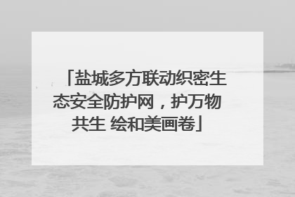 盐城多方联动织密生态安全防护网，护万物共生 绘和美画卷