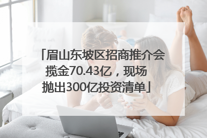 眉山东坡区招商推介会揽金70.43亿，现场抛出300亿投资清单