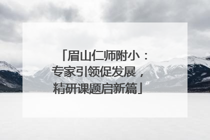 眉山仁师附小：专家引领促发展，精研课题启新篇