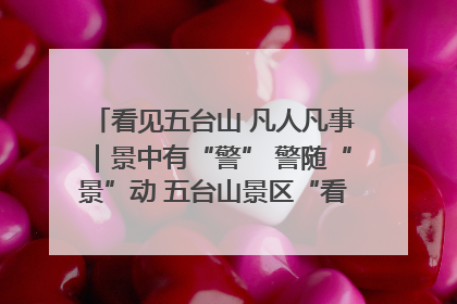 看见五台山 凡人凡事｜景中有“警” 警随“景”动 五台山景区“看得见”的平安守护