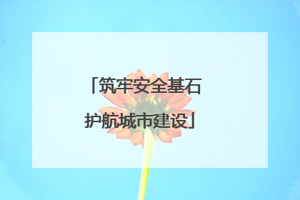 筑牢安全基石 护航城市建设