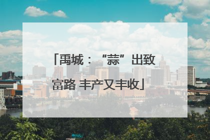 禹城：“蒜”出致富路 丰产又丰收
