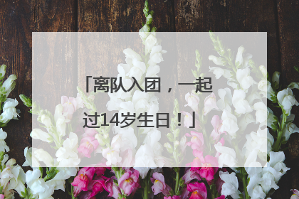 离队入团，一起过14岁生日！