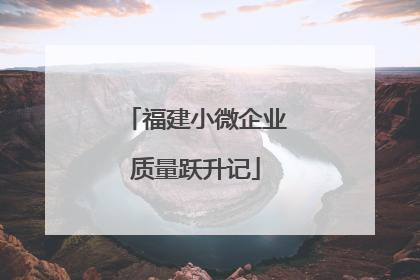 福建小微企业质量跃升记