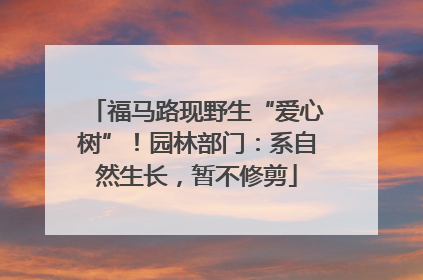 福马路现野生“爱心树”！园林部门：系自然生长，暂不修剪