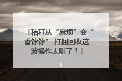 秸秆从“麻烦”变“香饽饽” 打捆回收这波操作太赚了！
