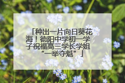 种出一片向日葵花海！德阳中学初一学子祝福高三学长学姐“一举夺魁”