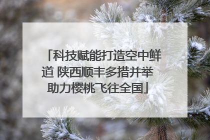 科技赋能打造空中鲜道 陕西顺丰多措并举助力樱桃飞往全国