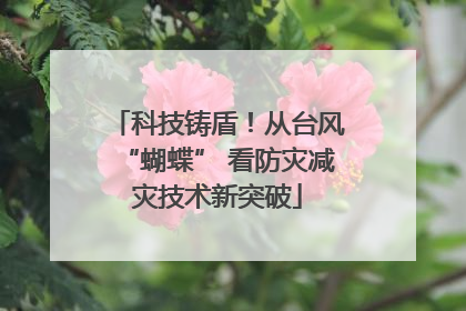 科技铸盾！从台风“蝴蝶” 看防灾减灾技术新突破