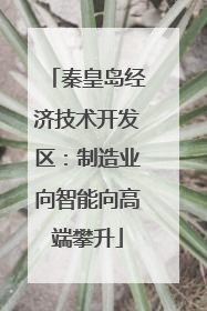 秦皇岛经济技术开发区：制造业向智能向高端攀升