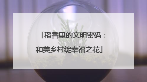 稻香里的文明密码：和美乡村绽幸福之花