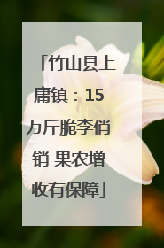 竹山县上庸镇：15万斤脆李俏销 果农增收有保障