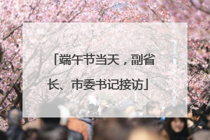 端午节当天，副省长、市委书记接访