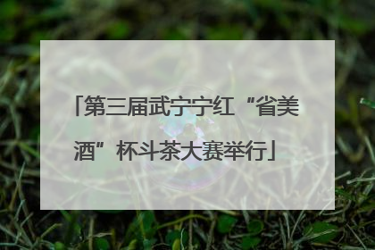 第三届武宁宁红“省美酒”杯斗茶大赛举行