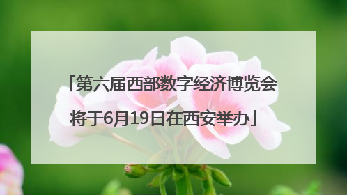 第六届西部数字经济博览会将于6月19日在西安举办